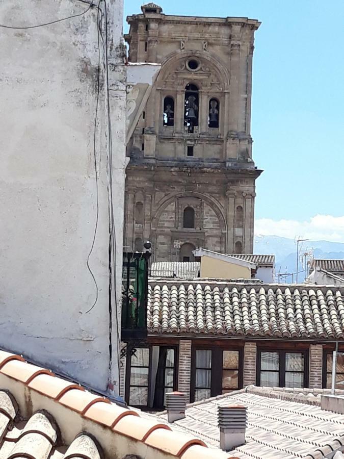 Catedral Lujo Parking Gratis Apartment Granada Bagian luar foto